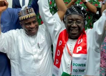 Iyorchia Ayu emerges PDP National Chairman