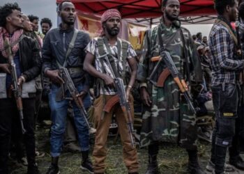 Ethiopian citizens, diplomats flee Addis Ababa as rebels close in on capital