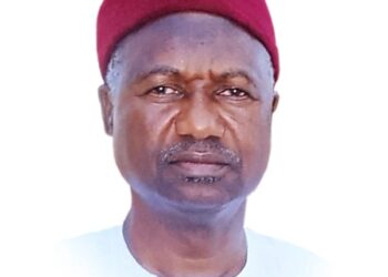 AMB. MUHAMMAD HARUNA MANTA: THE DIPLOMAT WITH THE MAGIC WANDS.