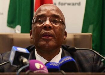 We can’t keep quiet for fear of being called xenophobic – Motsoaledi