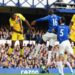 EPL: Stunning Everton comeback secures Premier League status
