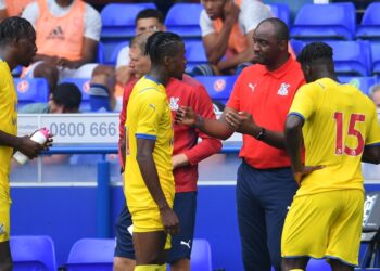 Zimbabwean money transfer company Mukuru to sponsor Crystal Palace