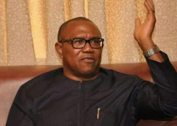 2023 Presidency: Reject VP slot – Ohanaeze charges Peter Obi, others