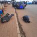 12 arrested, one killed in shootout with cops in Pretoria