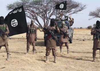 Names of ISWAP commanders killed Nigerian troops released