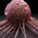 Breakthrough for cancer treatment as US drug trial records ‘100% success’