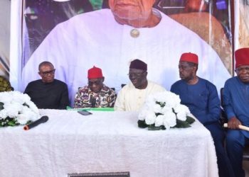 PHOTOS: Obasanjo, Obi, Adebanjo visit Ohanaeze headquarters in Enugu