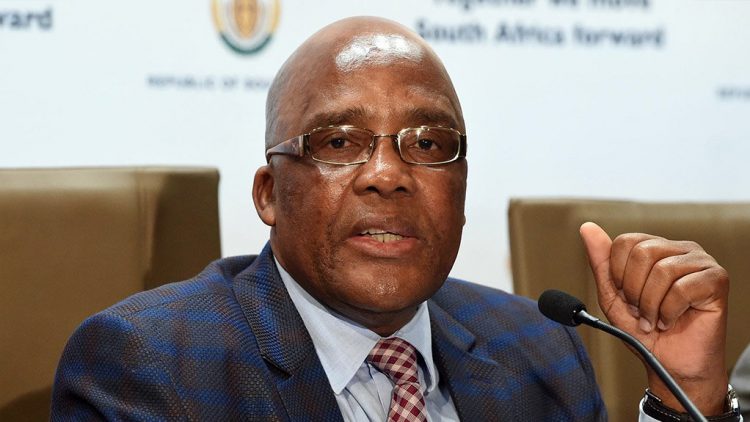 Motsoaledi: Pandemic caused 40 365 visa backlog crisis