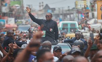 Peter Obi won February 25 presidential election, says Afenifere