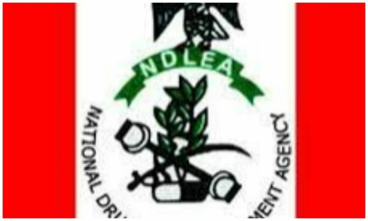 NDLEA launches new strategies to curb drug trafficking