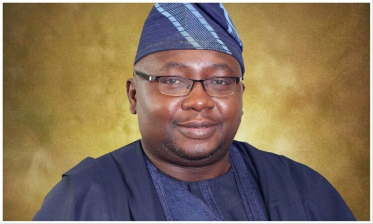 Nigerians will get 24-hour power supply under my watch- Adelabu