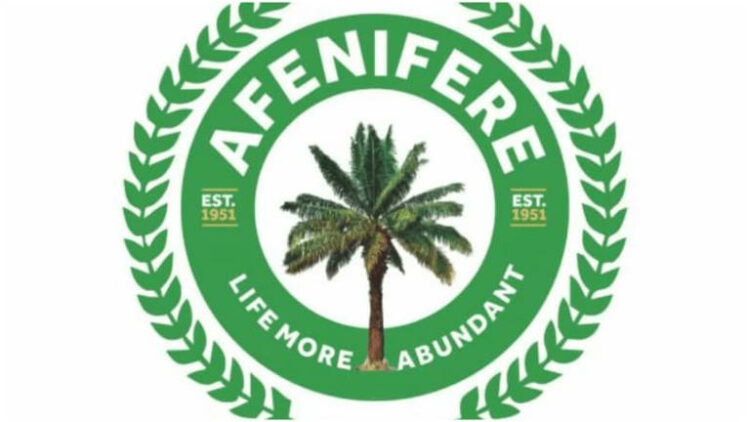 ‘Call for Yoruba exit from Nigeria unnecessary’ – Afenifere