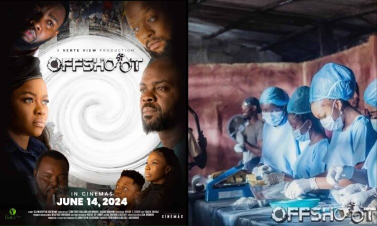 Movie review: Offshoot has good storyline, reminds me of Dora Akunyili’s fight against drug menace
