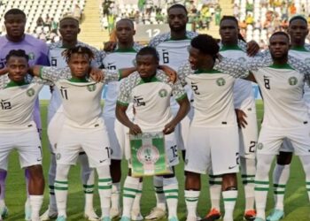 Get a world-class foreign coach for Super Eagles- Sports minister tasks NFF