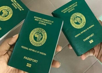 Nigeria Among Top 20 Countries for US Green Card Recipients