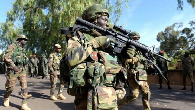 Sambisa: Expert proffers solution as insurgents regroup, reclaim forest amid evolving military tactics