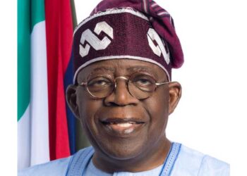 2027: Why APGA endorsed Tinubu – Publicity Secretary