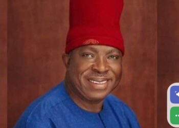 Diaspora Voting Not Yet Ripe for Nigeria – Says Nigeria Senator, Rules Out 2027 Participation