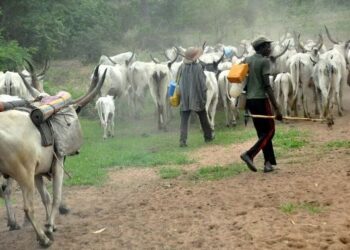 My Tribesmen M@ssacred 46 Christians In Plateau Community Despite My Pleas – Fulani Elder Says