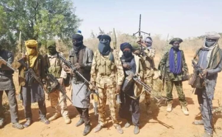 How Bandits Migrated From Niger Republic Into Kwara, Niger Forests And How Police Blocked Their Escape – Investigation
