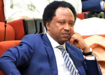 Stay Back And Build Your Country – Shehu Sani Reacts Following US New Visa Ban