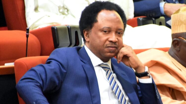 Stay Back And Build Your Country – Shehu Sani Reacts Following US New Visa Ban