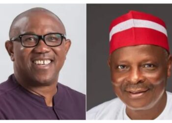 Kwankwaso has agreed to be Peter Obi’s running mate – Ibrahim Abdulkarim