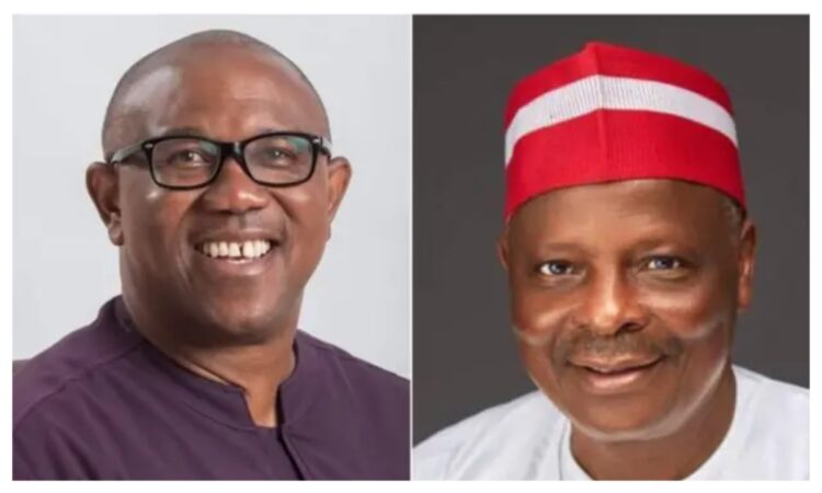 Kwankwaso has agreed to be Peter Obi’s running mate – Ibrahim Abdulkarim