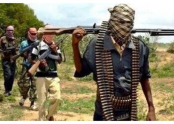 Suspected Lakurawa terrorists kill two Customs officers in Kebbi