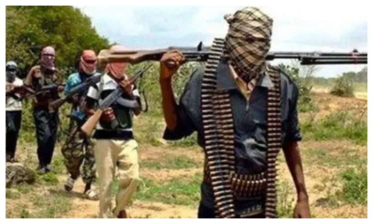 Suspected Lakurawa terrorists kill two Customs officers in Kebbi