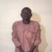 Troops arrest wanted ISWAP informant providing intelligence on military deployments in Borno