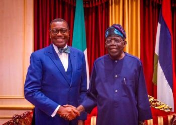 Adesina meets Tinubu, offers to help Nigeria’s development after AfDB exit